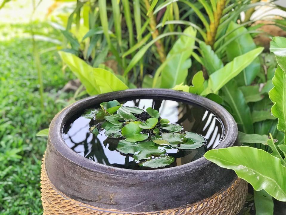 Verona Lanta Resort Koh Lanta Ngoại thất bức ảnh